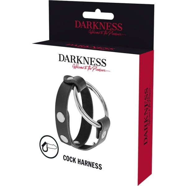 DARKNESS - BDSM COCK AND TESTICLE RING 5